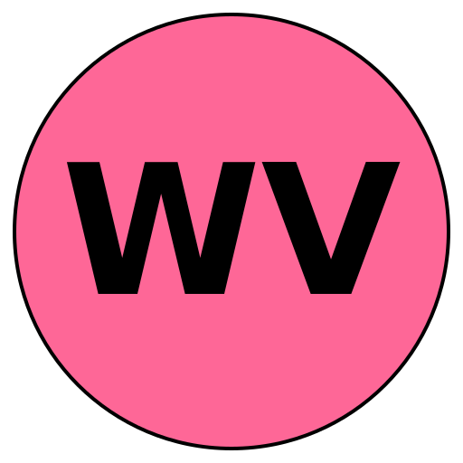 WiseVenture